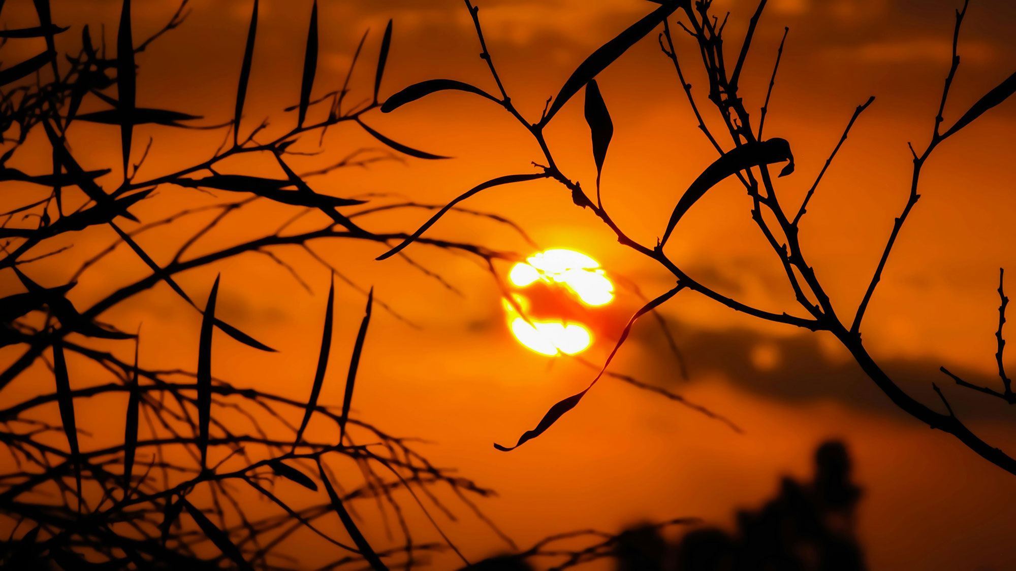 Iluminación-Solar-en-México